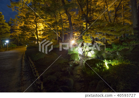 Kanazawa Kenrokuen點亮秋季舞台 40593727