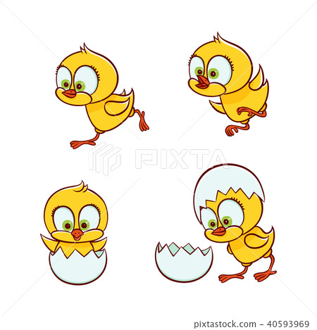 vector flat cute chick hatching from egg set vector flat cute chick hatching from egg set 40593969