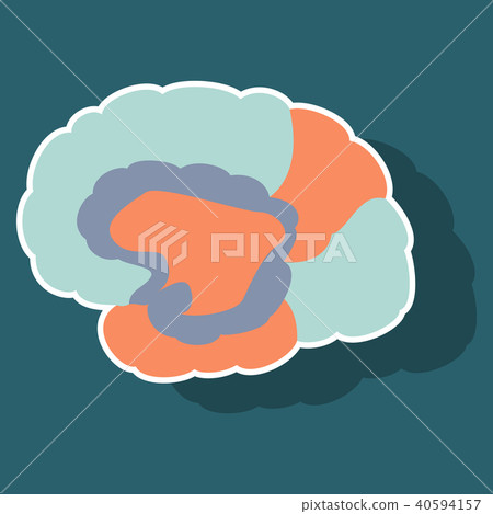 brain illustration in sticker monochrome color brain illustration in sticker monochrome color 40594157