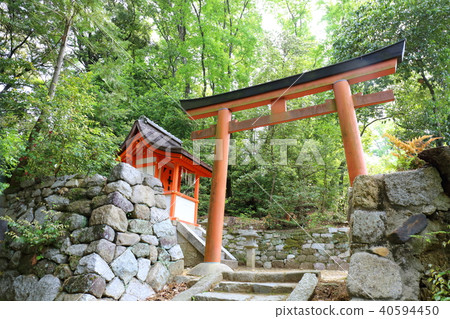 京都吉田神社Shinryu 京都吉田神社Shinryu 40594450