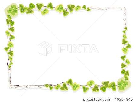 Ivy frame 40594840