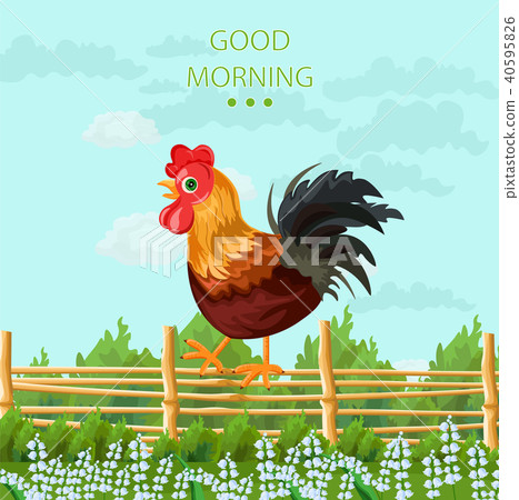 Rooster Vector detailed illustration 40595826
