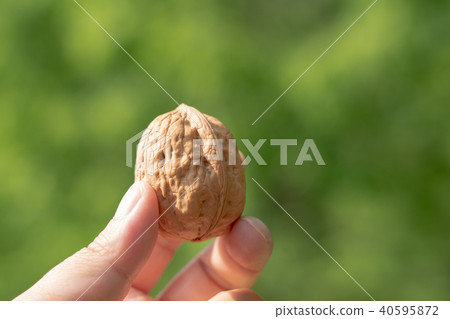 Kurumi Shino Gurumi with fingers 40595872