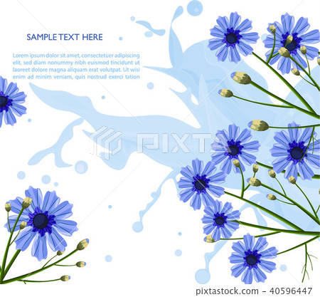 Chamomile blue flowers pattern Vector Chamomile blue flowers pattern Vector 40596447