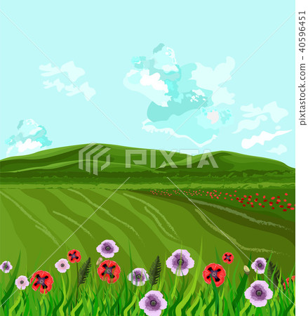 Green fields Vector. Spring background decor 40596451