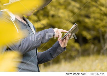 Sumaho操作女性秋天圖像 Sumaho操作女性秋天圖像 40596794