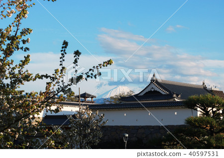 從甲府市中心看到的富士山 從甲府市中心看到的富士山 40597531