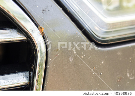 Close-up of car front bumper with many smashed insects. High speed drive 40598986
