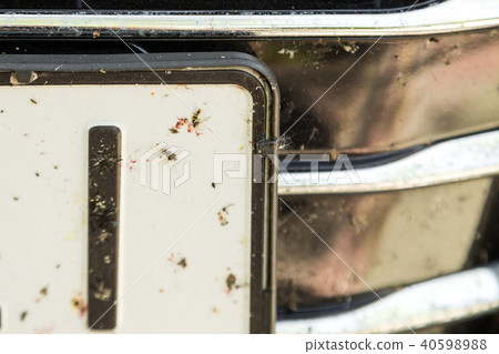 Close-up of car front bumper with many smashed insects. High speed drive 40598988