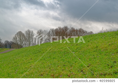 Blue cloudy sky above green meadow Blue cloudy sky above green meadow 40599805