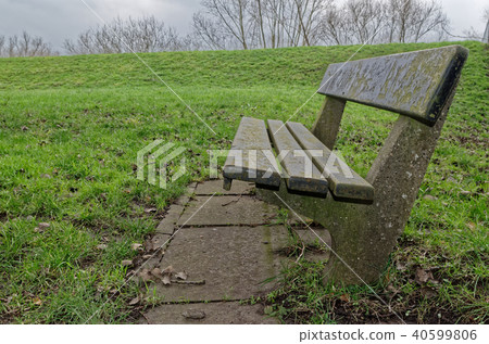 Close-up photo of a stone bench on a meadow 40599806