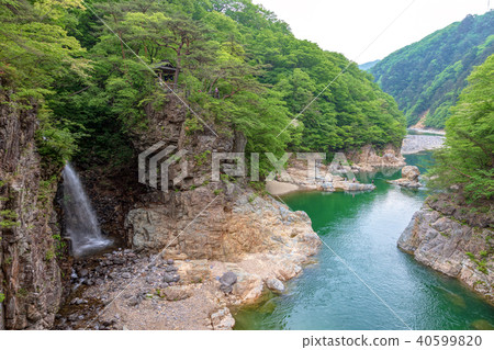 Ryuokyo (May) 40599820