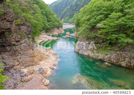 Ryuokyo (May) 40599823