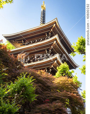 Five-storied pagoda of Setagaya-ku Five-storied pagoda of Setagaya-ku 40600192