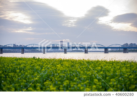 京畿道，青山區，龍山區，漢江，首爾 40600280