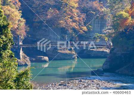 秋天塔塔（福島縣，下津町） 40600463
