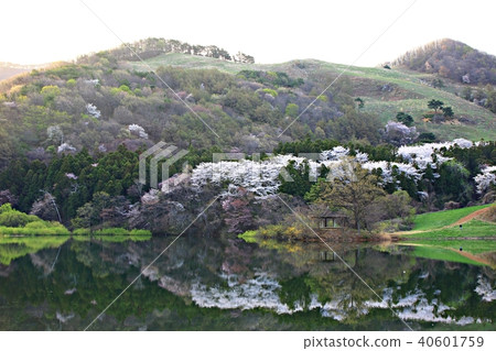 龍的早晨 40601759