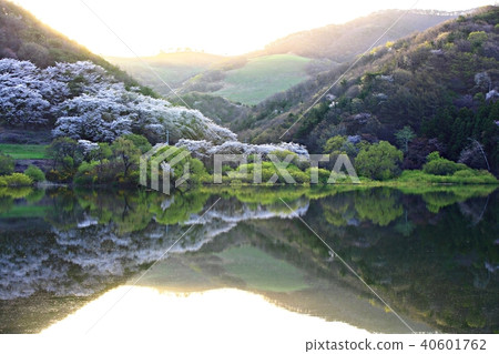 龍的早晨 龍的早晨 40601762