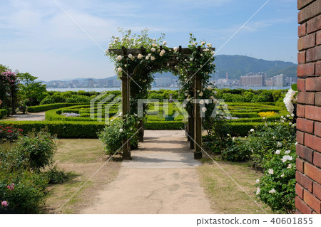 English garden landscape 40601855