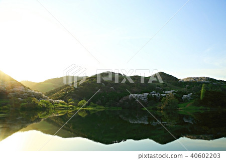 蜻蜓的春天 40602203