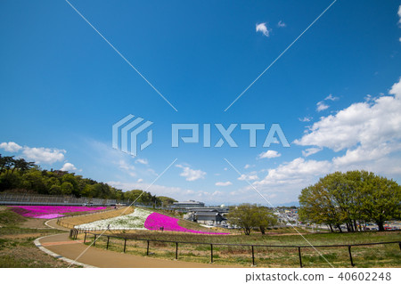 Shibakura Honjo早稻田站Joetsuzan線 40602248