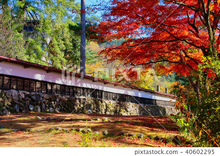 Fall of Fukuman Kikkoson Enzouji (Fukushima Prefecture, Yanaizucho) 40602295