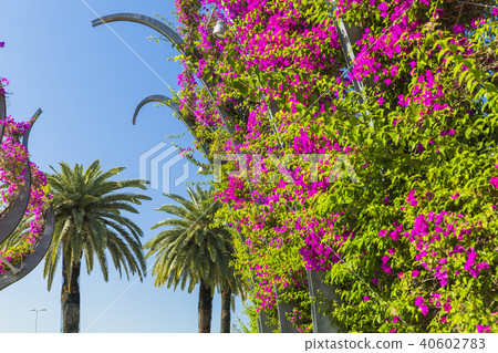 Aberwalk在布里斯班Southbank Parkland澳大利亞 Aberwalk在布里斯班Southbank Parkland澳大利亞 40602783