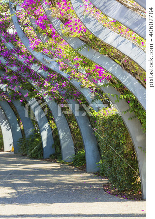 Aberwalk在布里斯班Southbank Parkland澳大利亞 Aberwalk在布里斯班Southbank Parkland澳大利亞 40602784