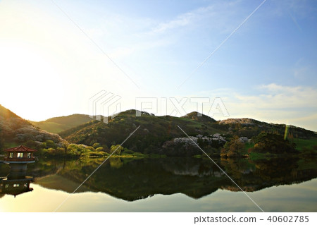 Spring morning 40602785