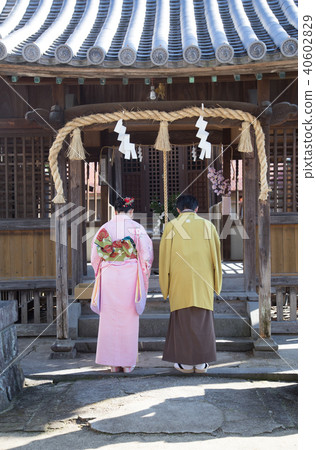 New Year's Visit New Year's Visit 40602829