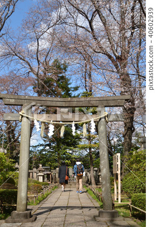 世田谷步行:松井神社吉田松蔭老師的墳墓 世田谷步行:松井神社吉田松蔭老師的墳墓 40602939