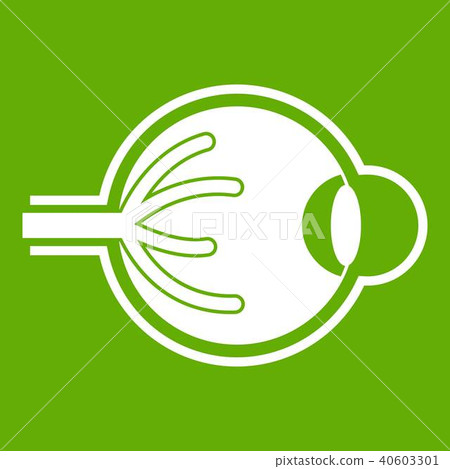 Human eyeball icon green Human eyeball icon green 40603301