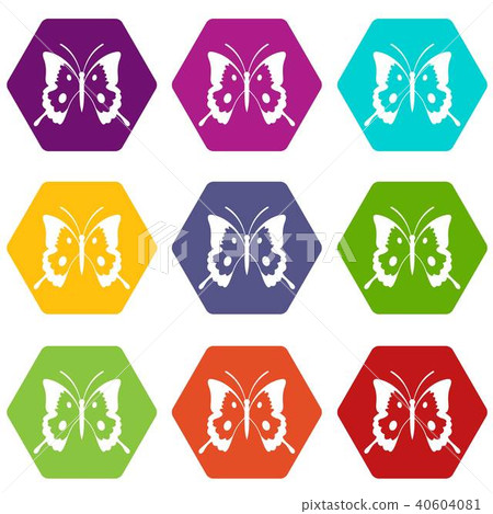 Butterfly icon set color hexahedron Butterfly icon set color hexahedron 40604081