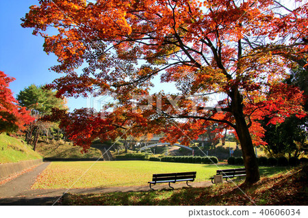 Ashigaoka Park in autumn (Fukushima Prefecture, Sukagawa City) Ashigaoka Park in autumn (Fukushima Prefecture, Sukagawa City) 40606034