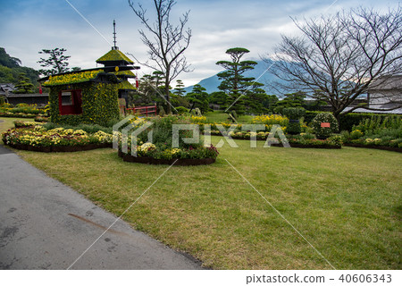 鹿兒島秋季Senshuen Kiku節 鹿兒島秋季Senshuen Kiku節 40606343