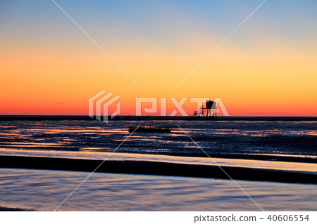 海鷗,彰化,新港,Yujiamura Idekou,日落,海水,海膽,Saya 海鷗,彰化,新港,Yujiamura Idekou,日落,海水,海膽,Saya 40606554