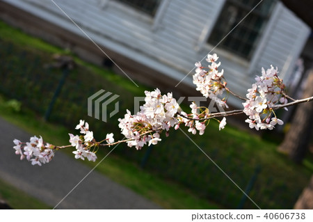 Hakodate Park Hakodate Park 40606738