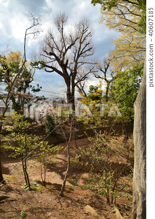 世田谷步行街:世田谷城堡公園 世田谷步行街:世田谷城堡公園 40607185