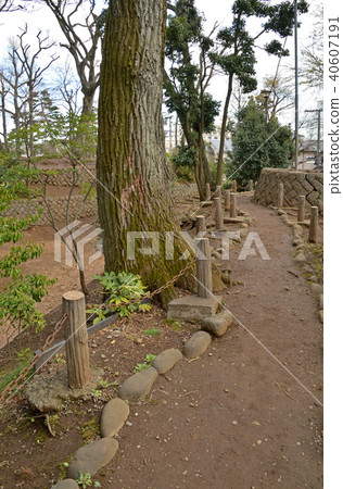 世田谷步行街：世田谷城堡公園 40607191