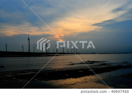 高美濕地夕陽 高美濕地夕陽 40607488
