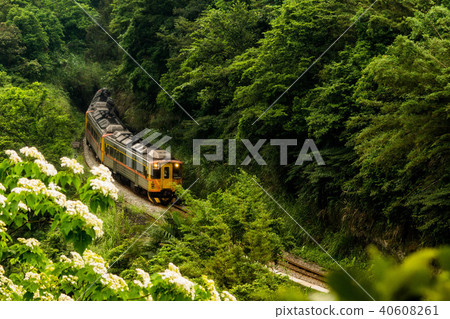 Tonghua train 40608261