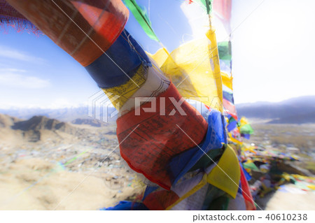 Tibetan prayer flags at Leh, Ladakh, India 40610238