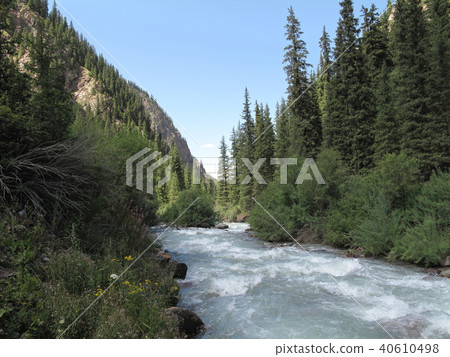 river landscape with green forest and mountain 40610498