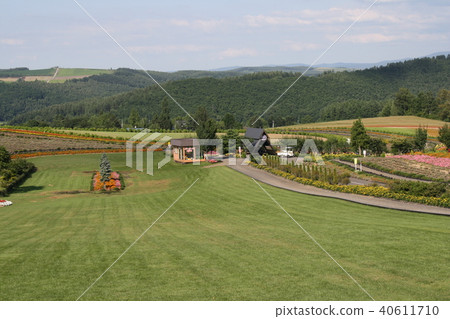 Hikari no Hill Biei town Hokkaido Hikari no Hill Biei town Hokkaido 40611710
