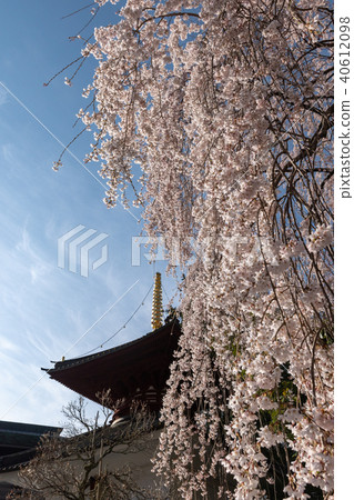 Tower of Kuonji Tower of Kuonji 40612098