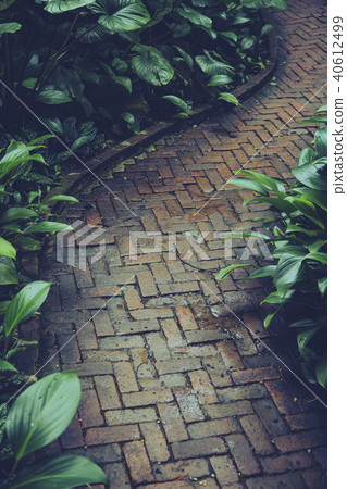 Stone path way in garden Stone path way in garden 40612499
