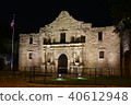 Alamo moth at night 40612948