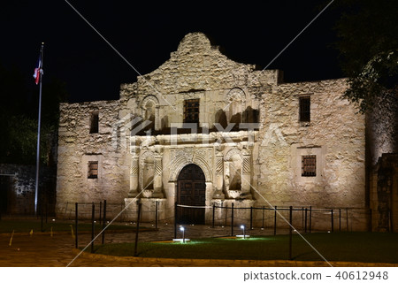 Alamo moth at night 40612948