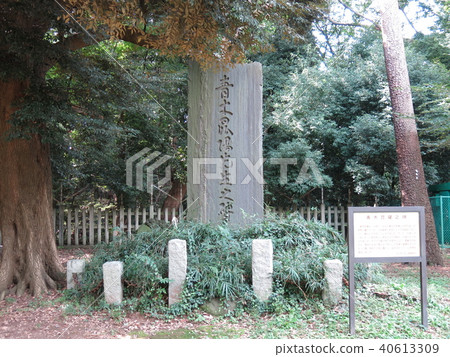 Kuno Aoki, who is in Omiya Park Kuno Aoki, who is in Omiya Park 40613309
