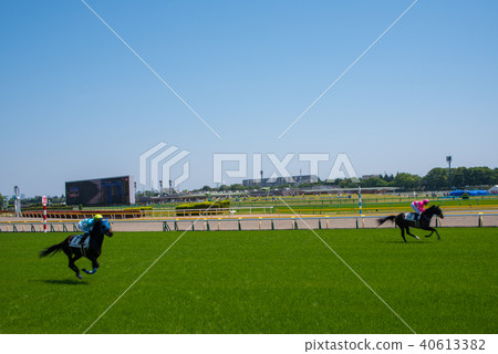Tokyo Racecourse Course Finish Point Racehorse 40613382